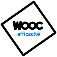 Logo du WOOC efficacité - 200x200