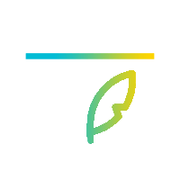 Audit Site Web Contenu